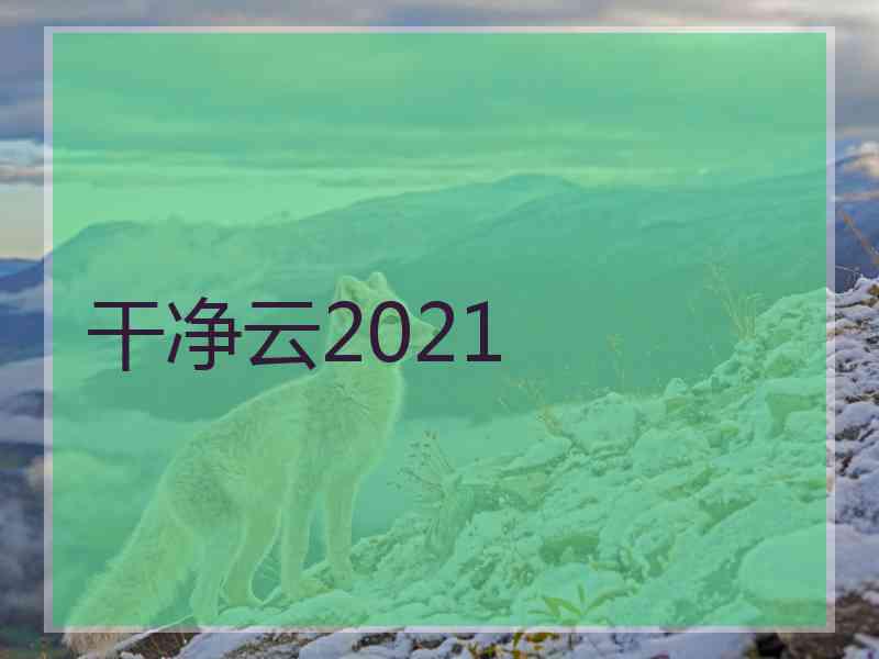 干净云2021