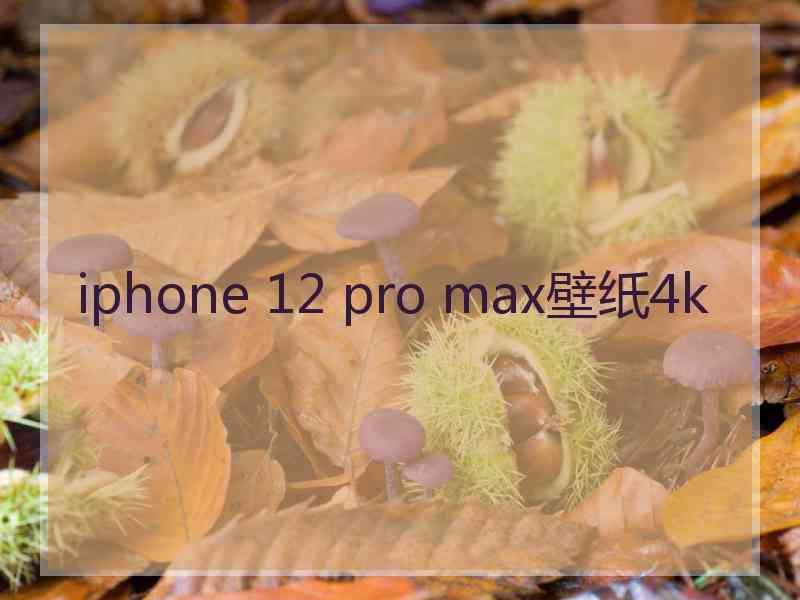 iphone 12 pro max壁纸4k