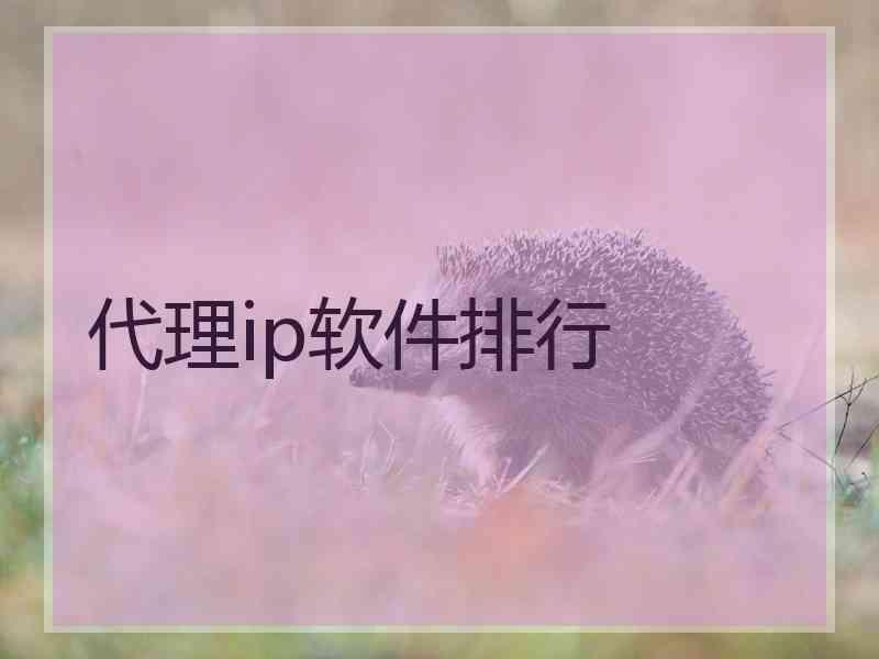 代理ip软件排行