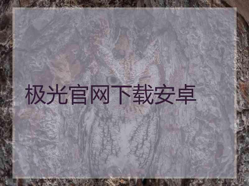 极光官网下载安卓