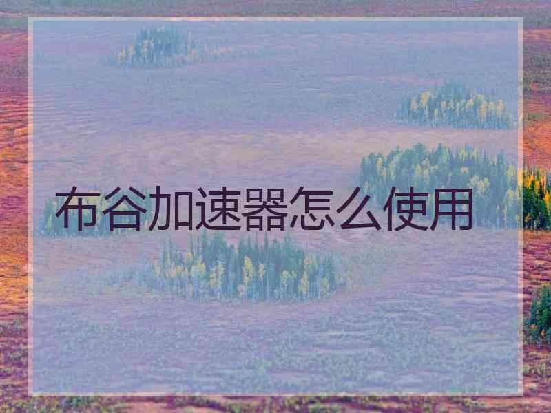 布谷加速器怎么使用