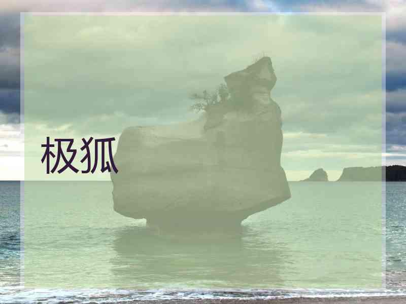 极狐