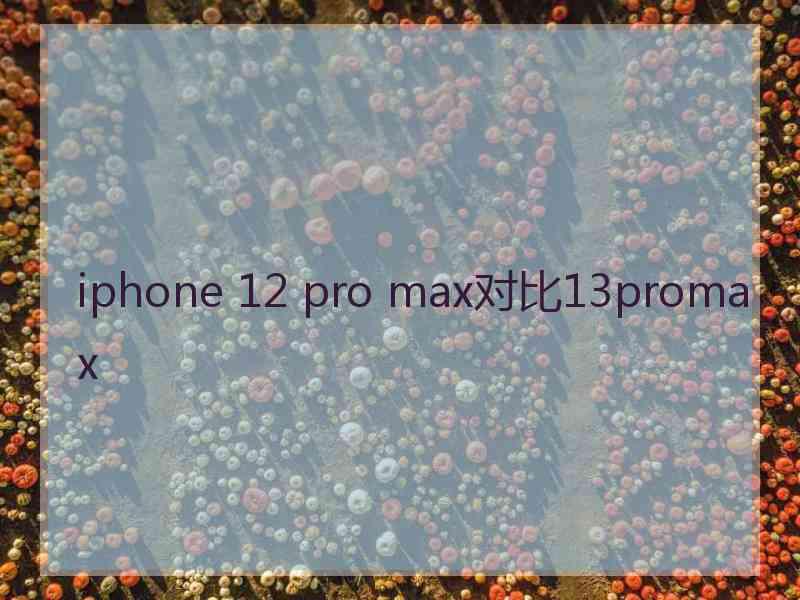 iphone 12 pro max对比13promax