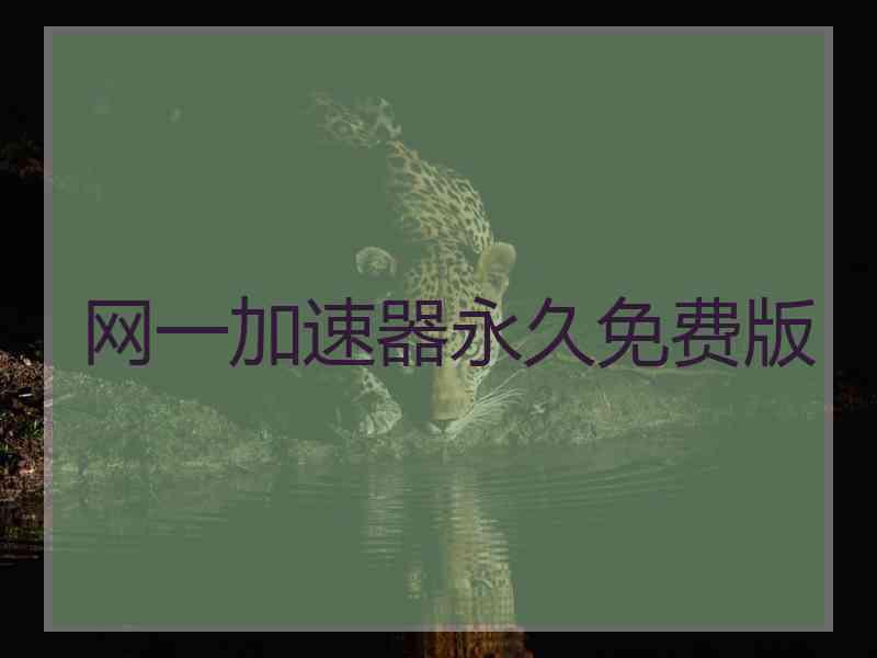 网一加速器永久免费版