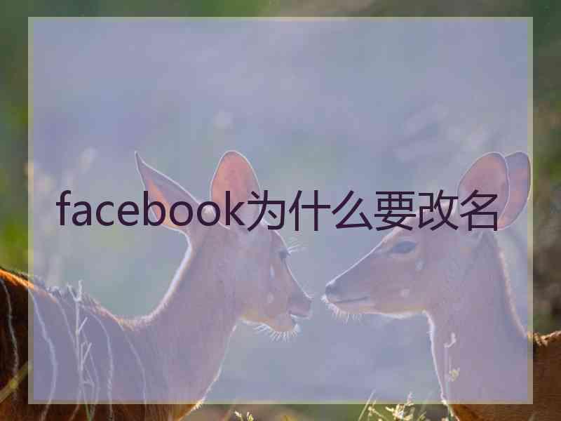 facebook为什么要改名