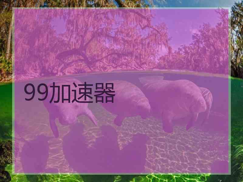 99加速器