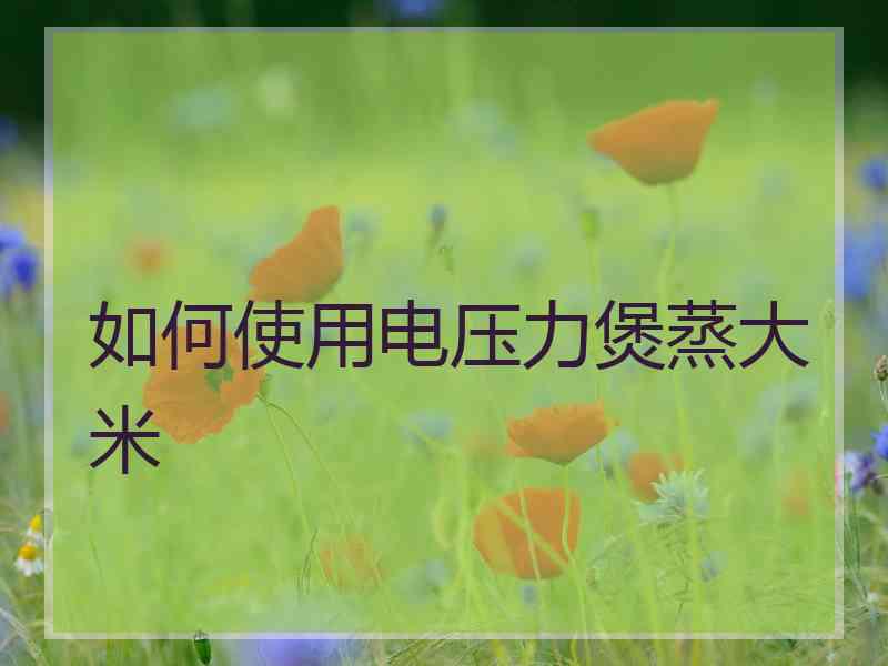 如何使用电压力煲蒸大米