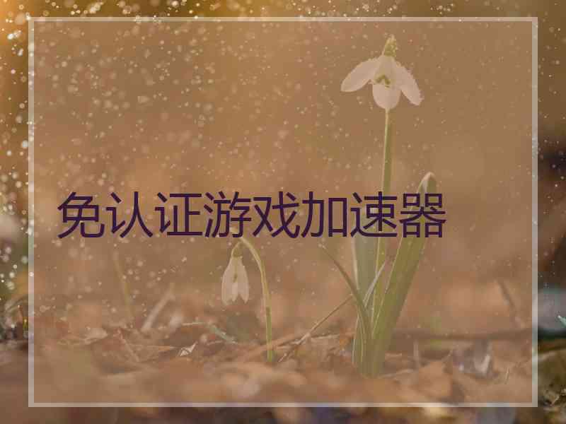 免认证游戏加速器