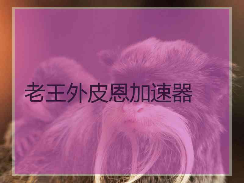 老王外皮恩加速器