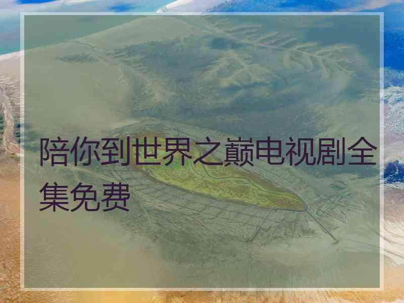 陪你到世界之巅电视剧全集免费