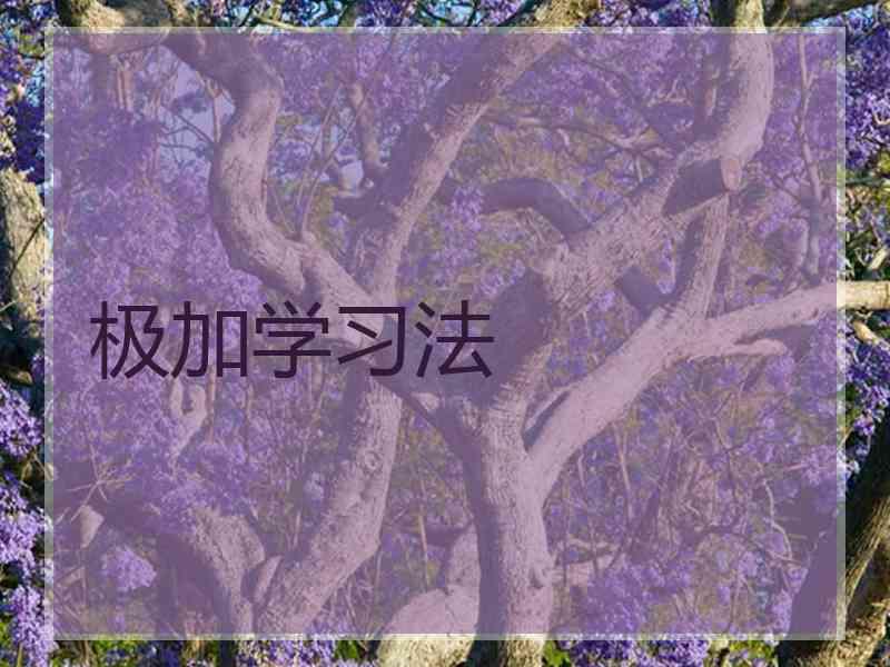 极加学习法