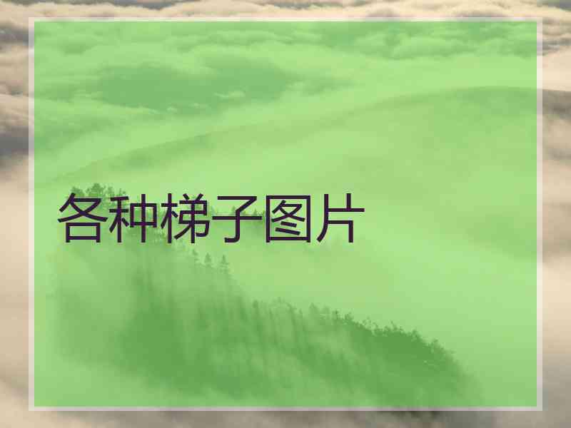 各种梯子图片