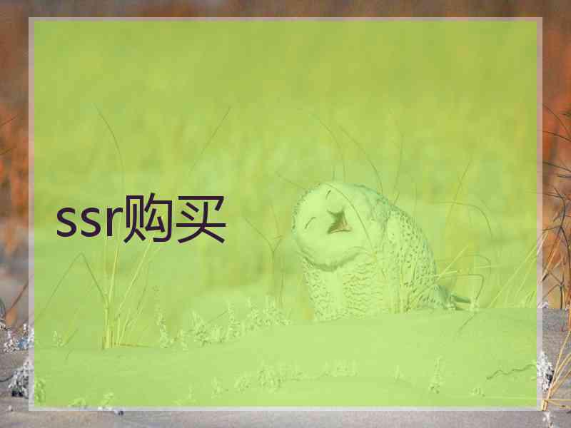 ssr购买
