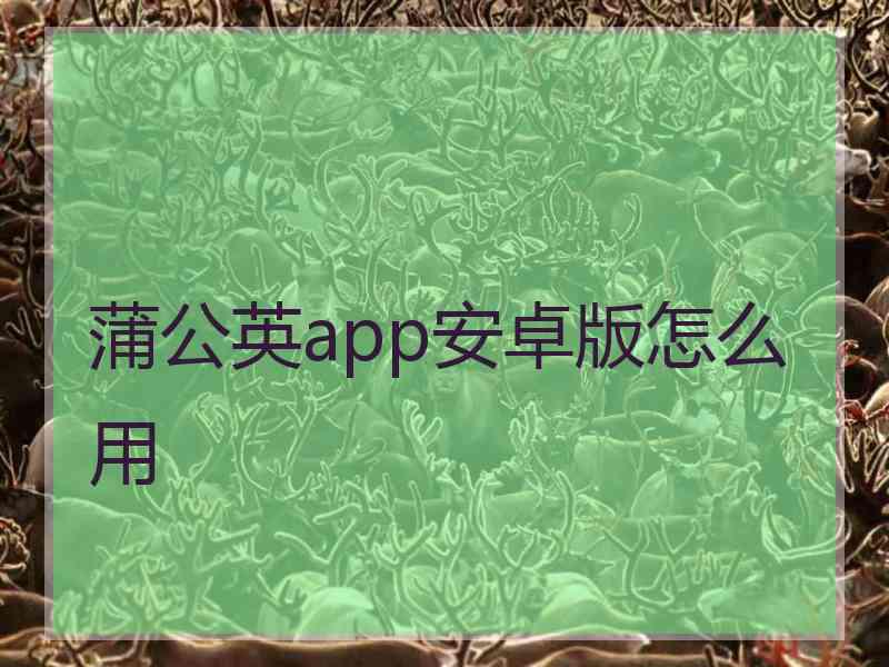 蒲公英app安卓版怎么用