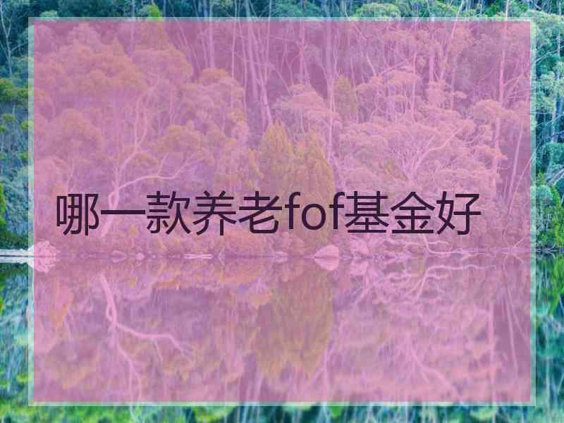 哪一款养老fof基金好
