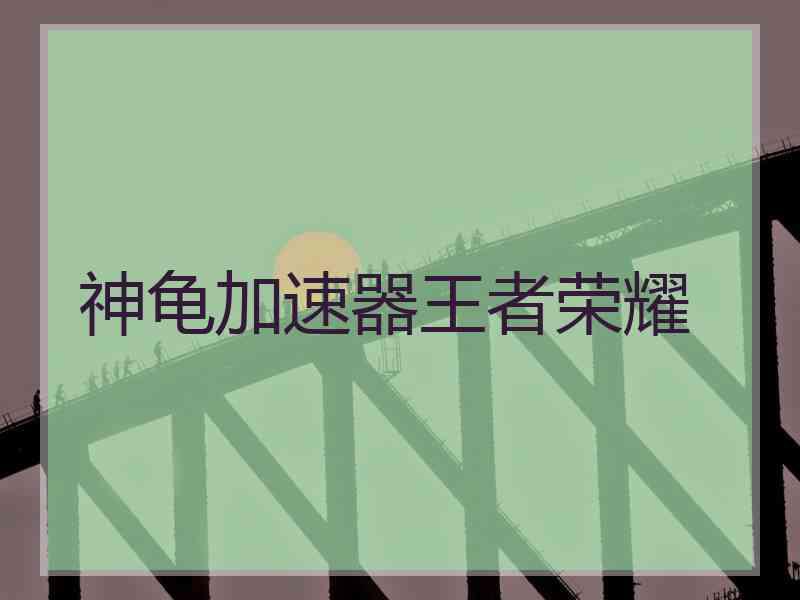 神龟加速器王者荣耀