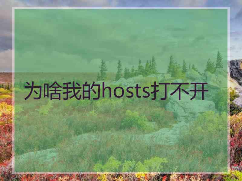 为啥我的hosts打不开