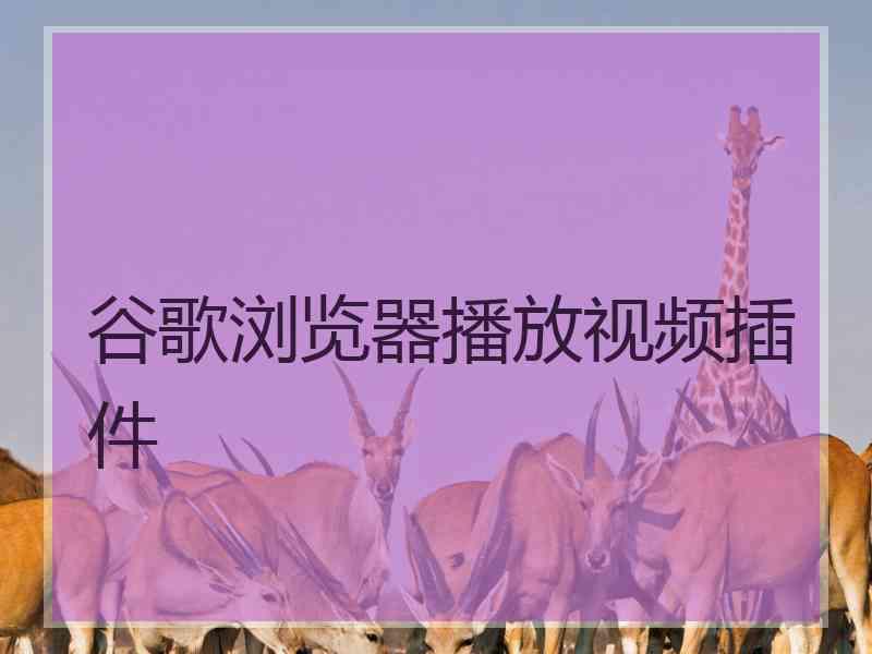 谷歌浏览器播放视频插件