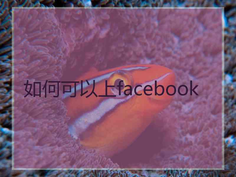 如何可以上facebook
