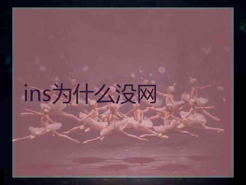 ins为什么没网