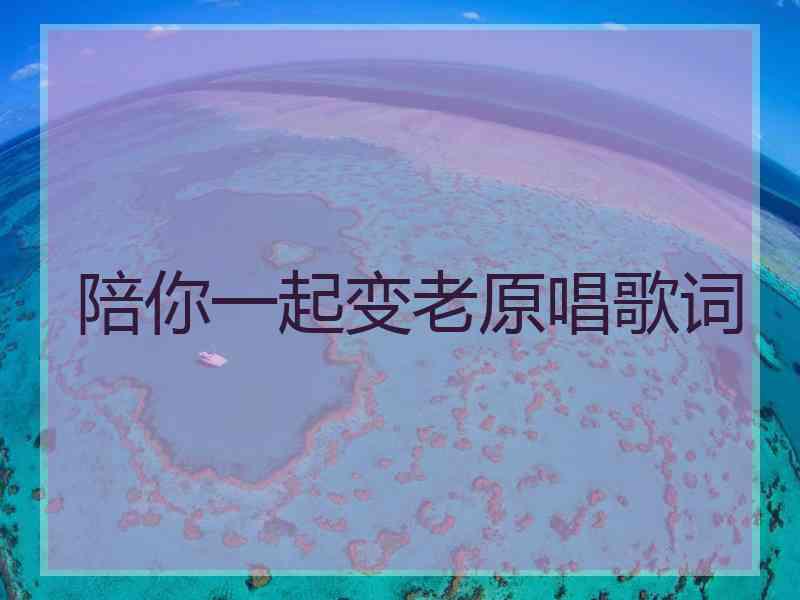 陪你一起变老原唱歌词
