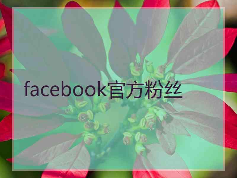 facebook官方粉丝