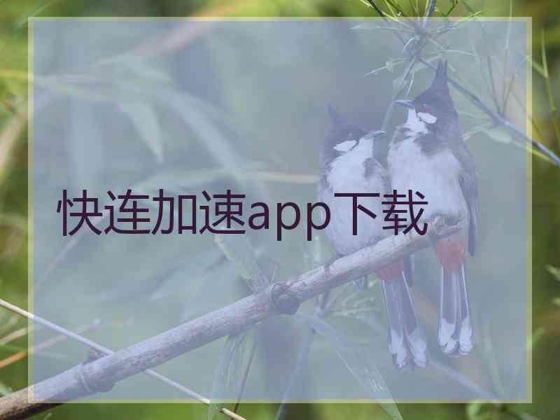 快连加速app下载