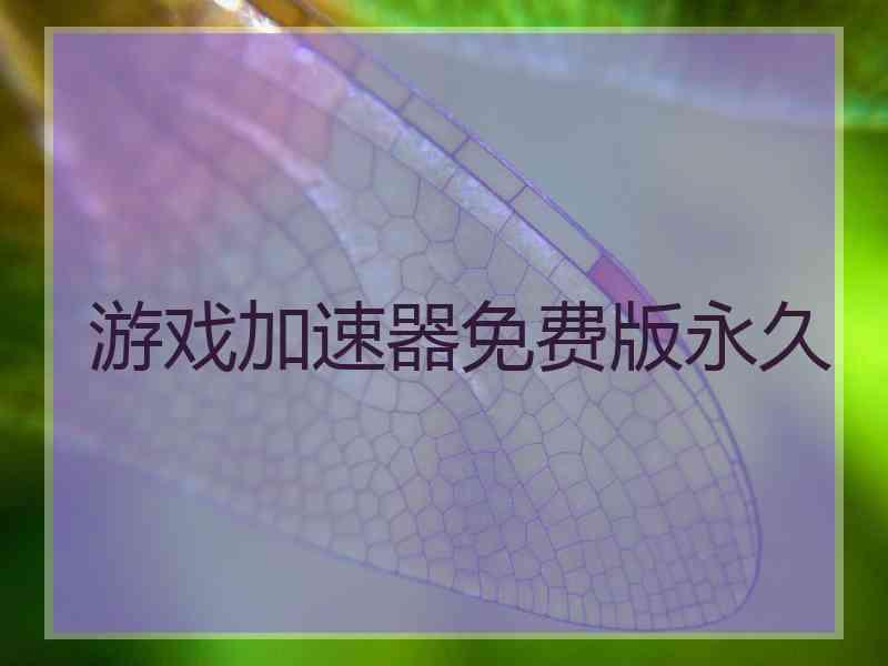 游戏加速器免费版永久