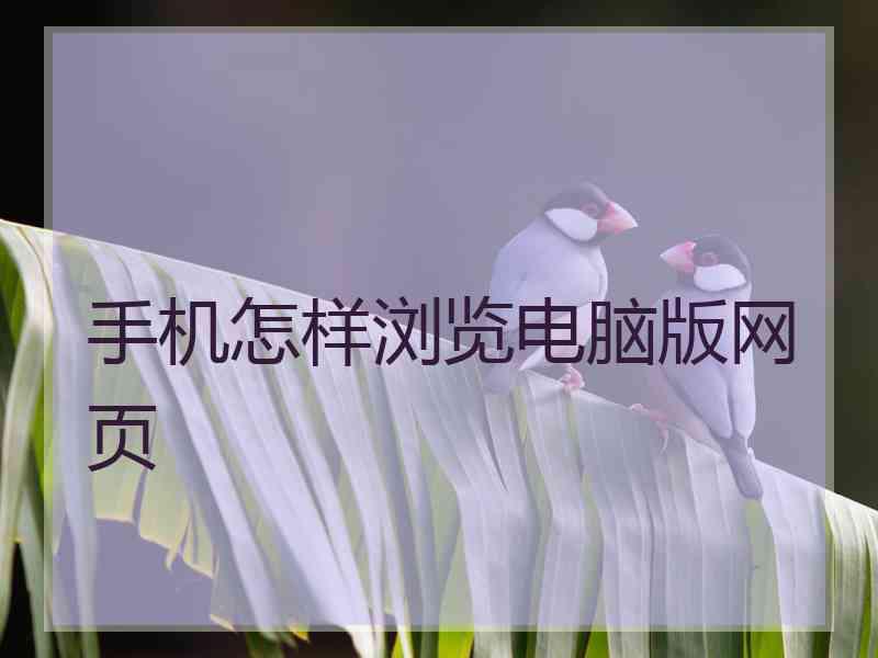 手机怎样浏览电脑版网页