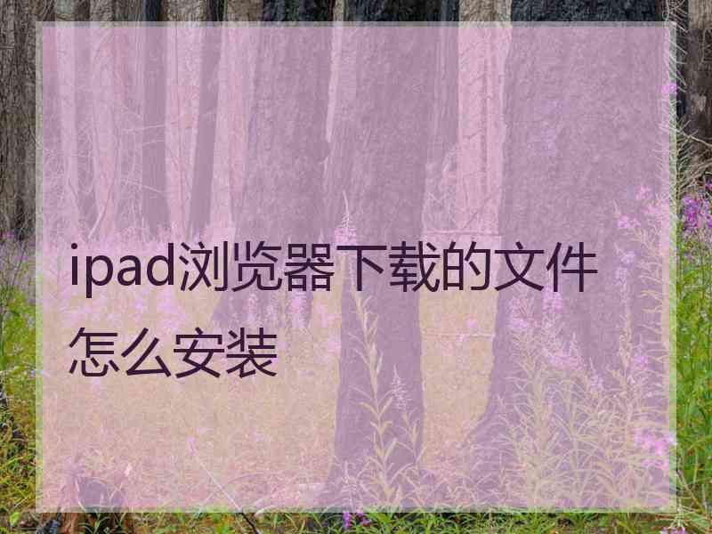 ipad浏览器下载的文件怎么安装