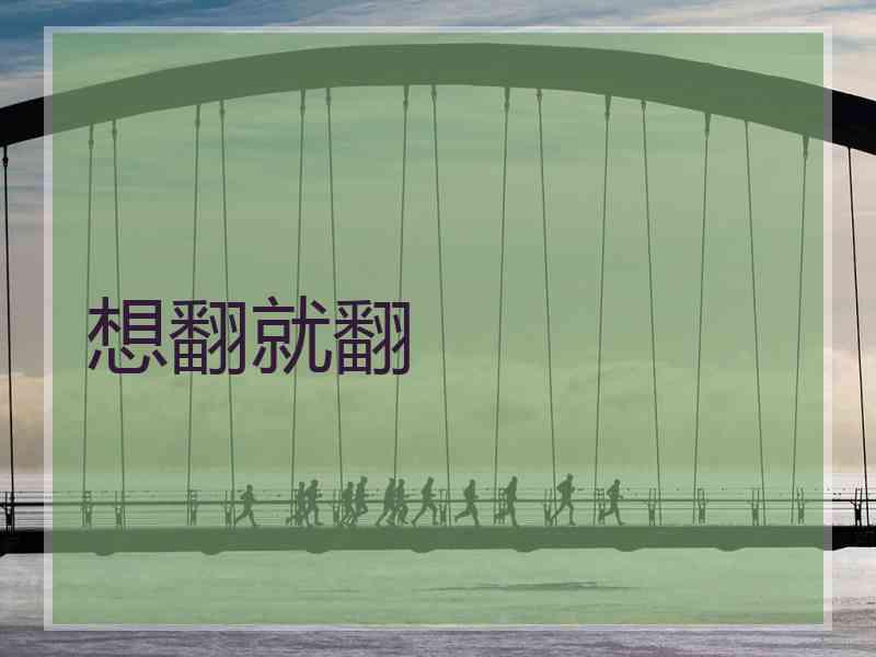 想翻就翻