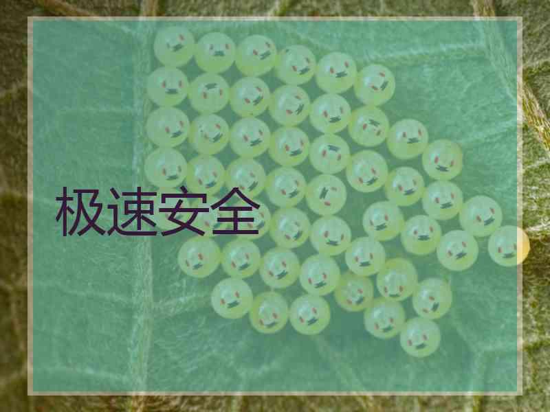 极速安全