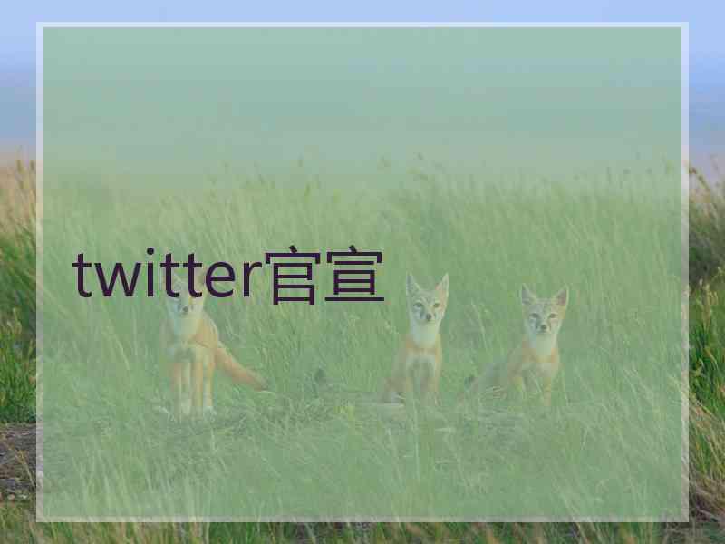 twitter官宣