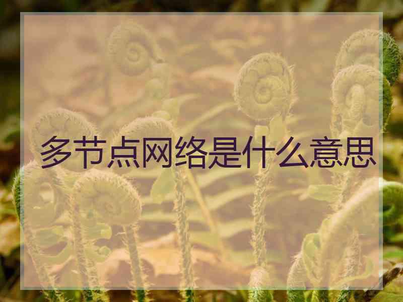 多节点网络是什么意思