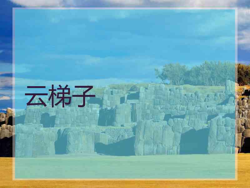 云梯子