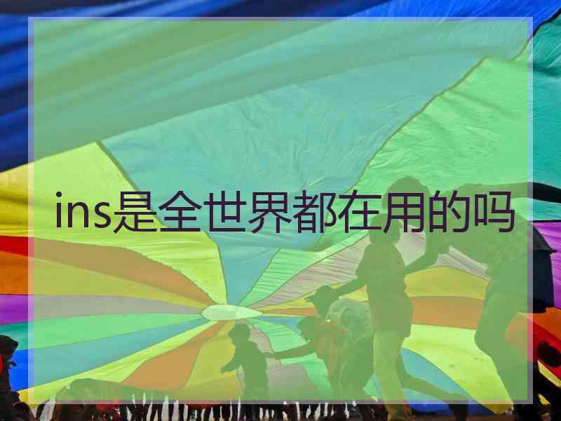 ins是全世界都在用的吗