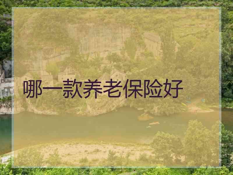 哪一款养老保险好