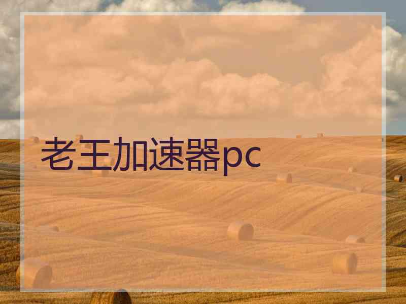 老王加速器pc