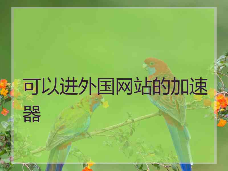 可以进外国网站的加速器