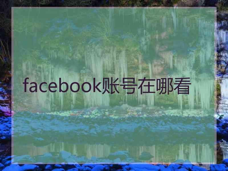 facebook账号在哪看