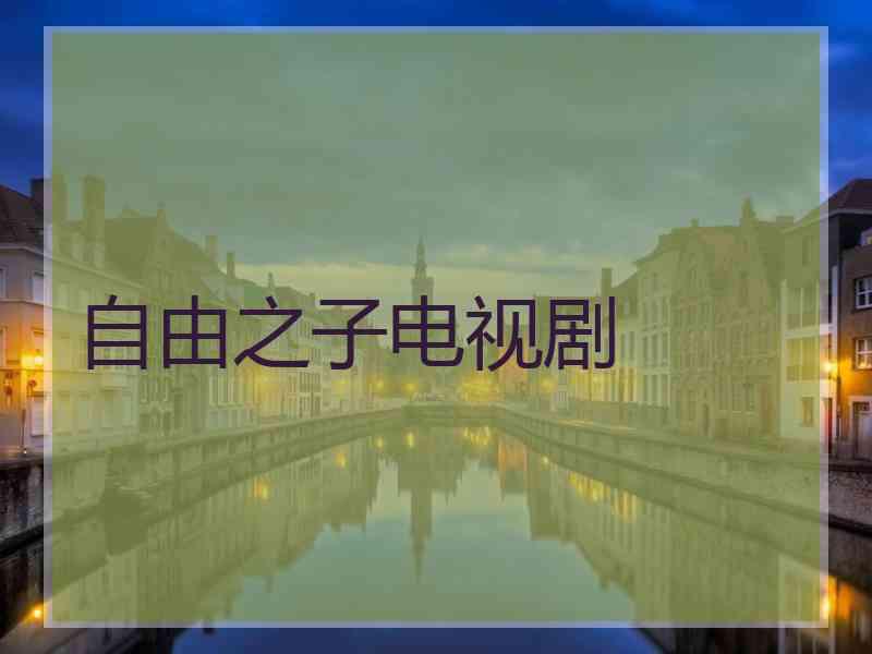 自由之子电视剧