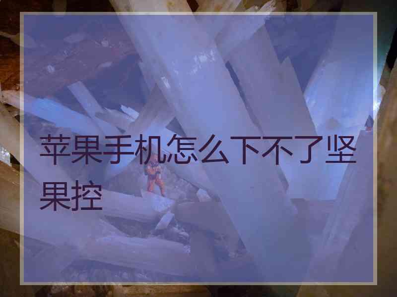苹果手机怎么下不了坚果控