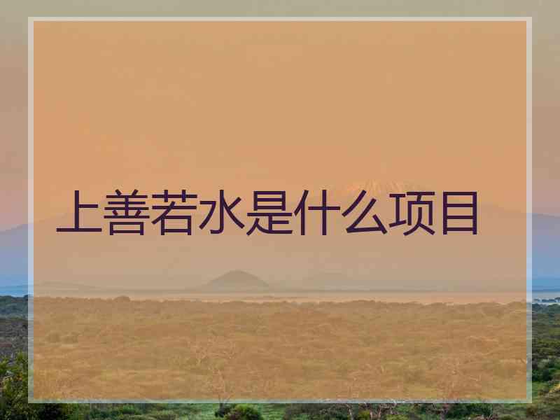 上善若水是什么项目