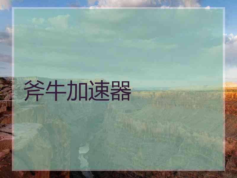斧牛加速器