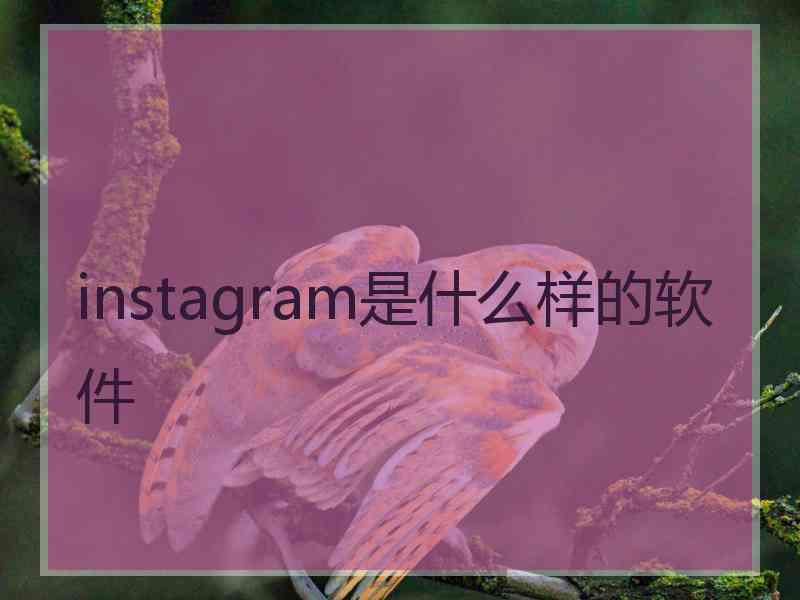 instagram是什么样的软件