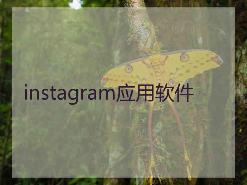 instagram应用软件