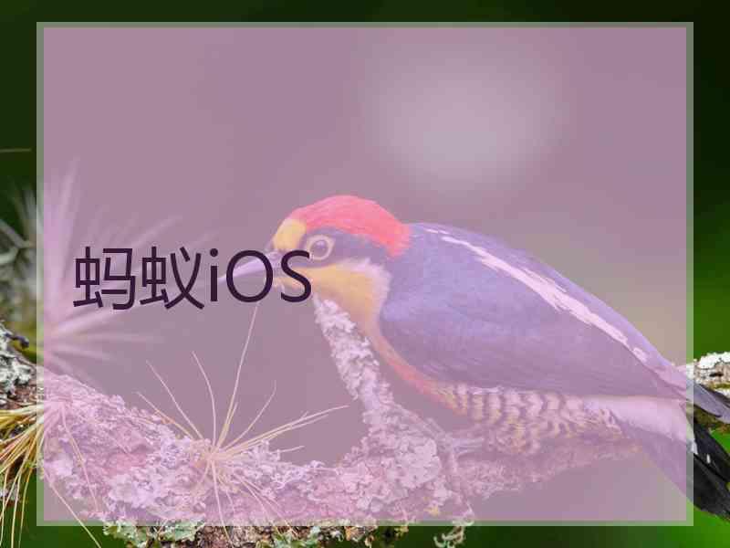 蚂蚁iOS