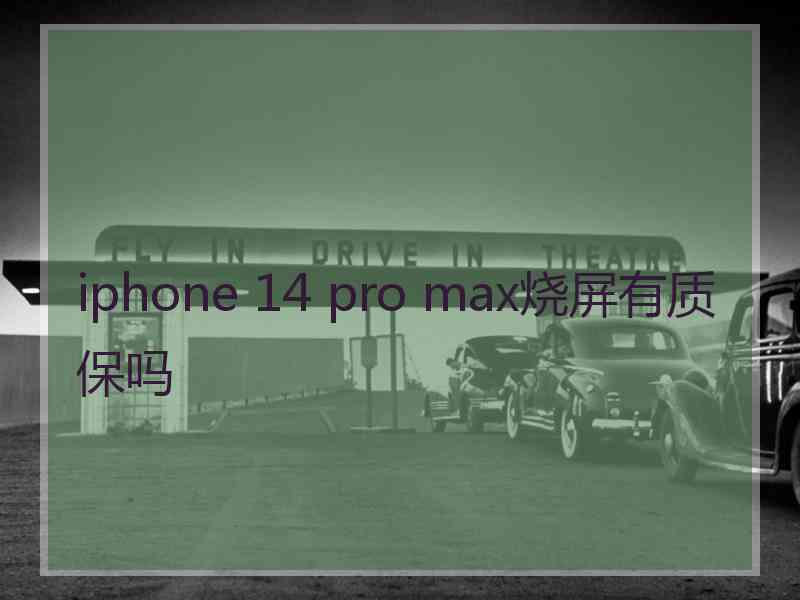 iphone 14 pro max烧屏有质保吗