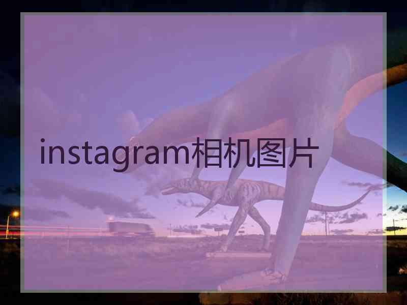instagram相机图片
