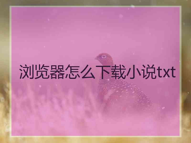 浏览器怎么下载小说txt